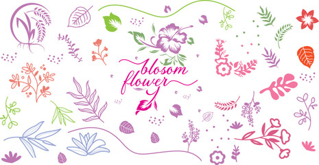 Flowers and Leaves Design Elements
