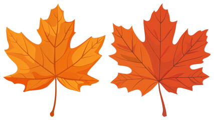 PNG Vibrant autumn maple leaves illustration, element set on transparent background