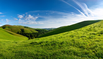 Fototapeta premium Rolling Green Hills Landscape With Lush Grass Meadows Under Bright Sky Creating Pastoral Scene Isolated On A Transparent Background
