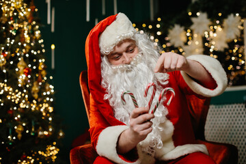 Santa claus holding candy canes near christmas tree