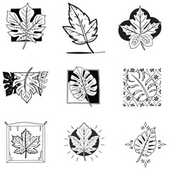 A black and white icons set and a leaf flower design
