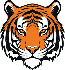 vector illustration of a tiger