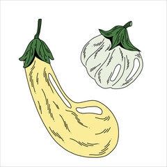 Hand drawn collection of yellow and pale green eggplants in round and long shapes