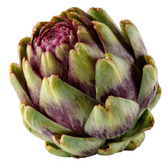 Obraz premium Close-up of a vibrant artichoke head