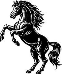 black horse isolated on white