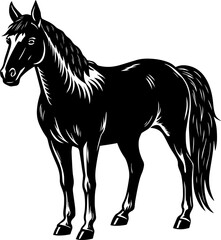 black horse vector illustration