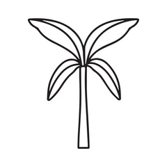 A beautiful tropical design with a palm tree flower and green leaf vector illustration