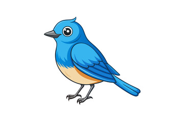 blue bird isolated on white background