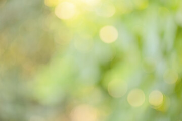 Defocus lights green natural. Bokeh. Blurred leaves. © Lesia