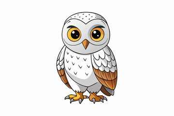 owl on white background
