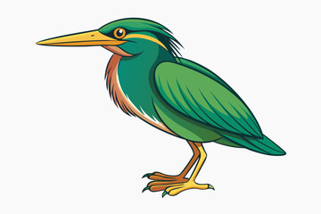 blue heron isolated on white