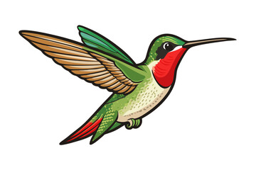 hummingbird and flower