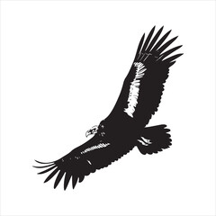 california-condor-vector-