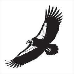 california-condor-vector-