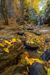 Small waterfall in a rocky forest canyon surrounded by vibrant autumn foliage. Colorful fallen leaves cover the stream and ground, creating a peaceful seasonal landscape.