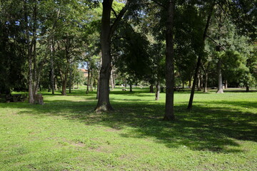 Parco cittadino in settembre