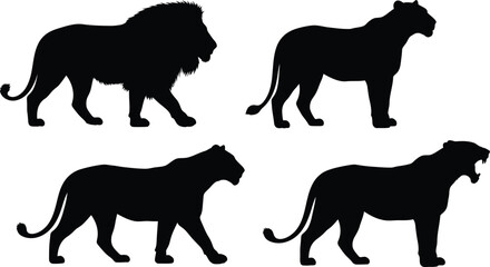 Lion silhouette vector illustration animal wildlife design