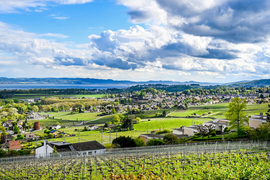 Colombier, Auvernier, Weindorf, Weinberge, Winzerh&auml;user, Weinbauer, Neuenburgersee, Seeufer, Wanderweg, Schloss, Hafen, Wassersport, Fr&uuml;hling, Sommer, Neuenburg, Schweiz