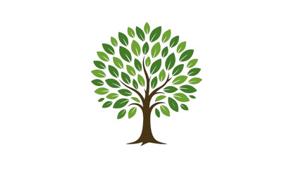 green tree isolated on white