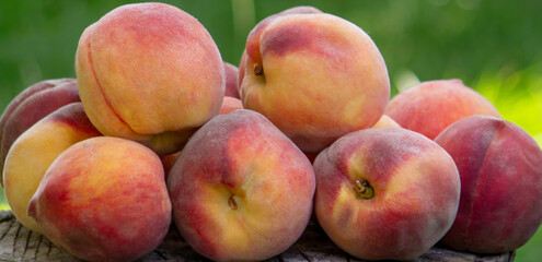 fresh ripe peaches on a stump against a garden background