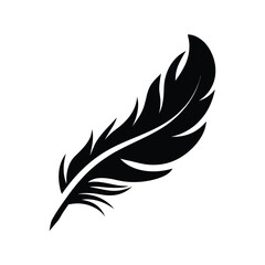 Obraz premium A beautiful black plume is gracefully presented against a clean bright white backdrop