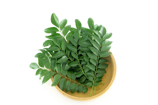 Fresh muraya koningii (sweet neem) pinnates in wooden bowl on white background