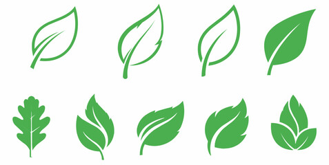Naklejka premium Set of green leaves Illustration vector