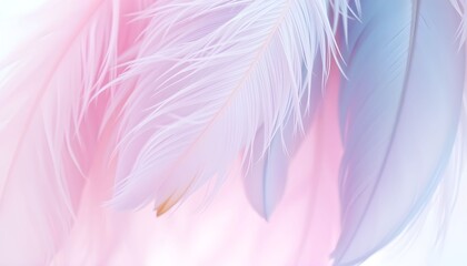 Obraz premium Close-up of soft, pastel-colored feathers in shades of pink, blue, and white, creating a gentle and airy texture.
