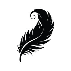 Obraz premium An elegant monochrome feather floats gently, with detailed texture against a pristine white background