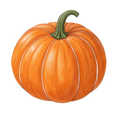 Fototapeta premium Realistic watercolor pumpkin isolated object for autumn harvest celebration and halloween decorations isolated on transparent background