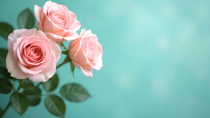An image featuring light pink roses in a pastel tone, with a blurred style for the background pattern texture