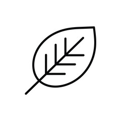 Simple outline drawing of a single leaf with veins