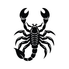 Scorpion mascot tattoo style desert stinger fierce vector art illustration
