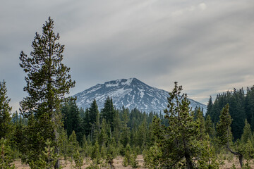 Mt. Bachelor, Cascade Mountain Range, Central Oregon, Deschutes National Forest