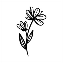 Obraz premium Elegant Minimalist Floral Illustration Simple Line Art Flower Design