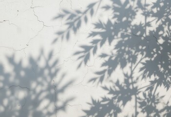 Nature shadows cast on a white wall artistic photography indoor calm environment overhead perspective