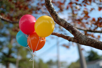 Balloons tied to a tree branch swaying in the breeze, 
