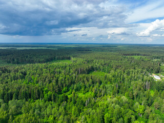 A panoramic aerial shot of a vast, dense green forest stretching to the horizon under a dramatic, cloudy sky.