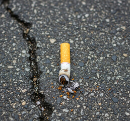 M&eacute;got de cigarette jet&eacute; sur la route