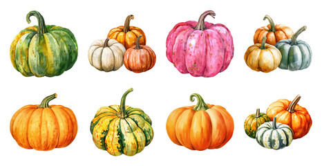 PNG Colorful pumpkins autumn illustration, element set on transparent background