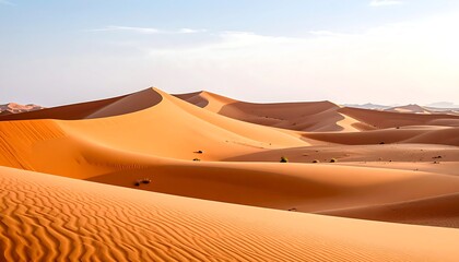 Vast desert dunes under a pale sky