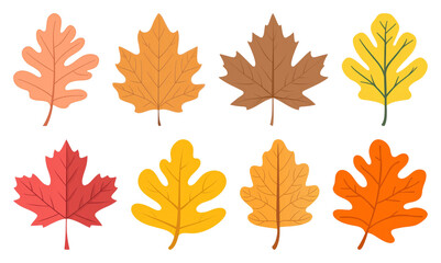 PNG Colorful autumn leaves illustration, element set on transparent background