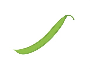 Illustration of a green bean