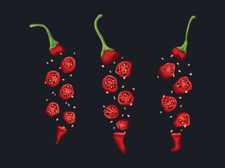 icon chili vegatable mexico spicy hot ingredient seasoning condiment flavor menu organic kitchen art