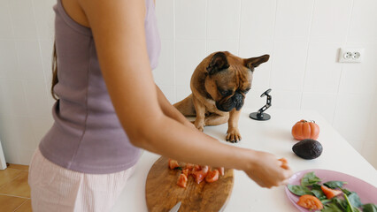 Cooking in the Kitchen with a Curious and Playful Dog Observing the Whole Process