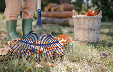 Woman in work overalls cleaning the garden during autumn, raking fallen leaves on sunny day. Seasonal concept of outdoor cleaning, gardening and autumn lifestyle activities.