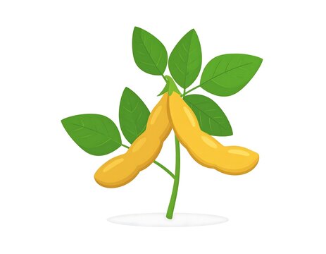 Illustration of yellow beans on a stem with leaves