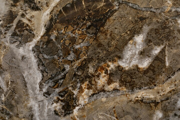 Detailed close-up of natural stone surface showcasing rich textures and earthy tones found in various types of granite and marble