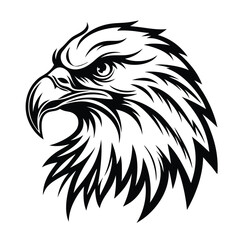 Detailed monochrome showing the head and neck of an eagle with sharp feathers