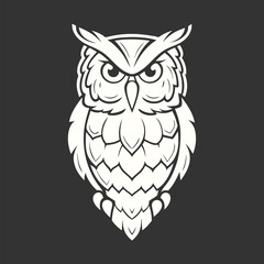 Detailed owl facing forward displays symmetrical feathered patterns against a plain background beautifully